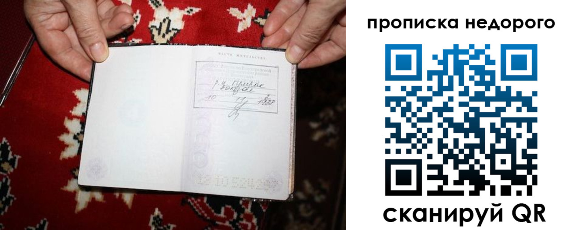 прописка гарантия в Ермолино
